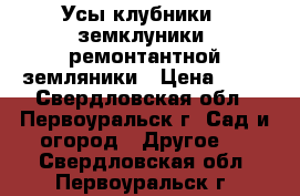 Усы клубники , земклуники, ремонтантной земляники › Цена ­ 10 - Свердловская обл., Первоуральск г. Сад и огород » Другое   . Свердловская обл.,Первоуральск г.